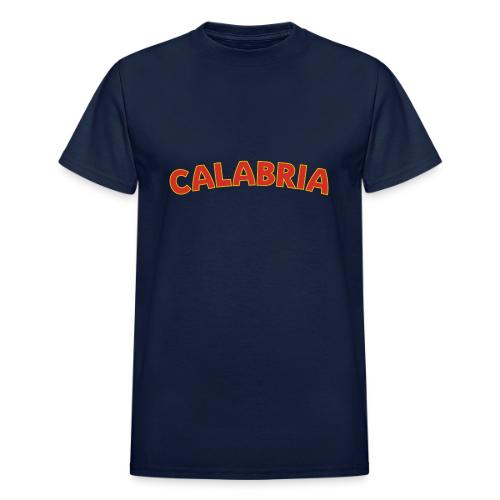 Calabria - Heavyweight Unisex T-Shirt by Gildan
