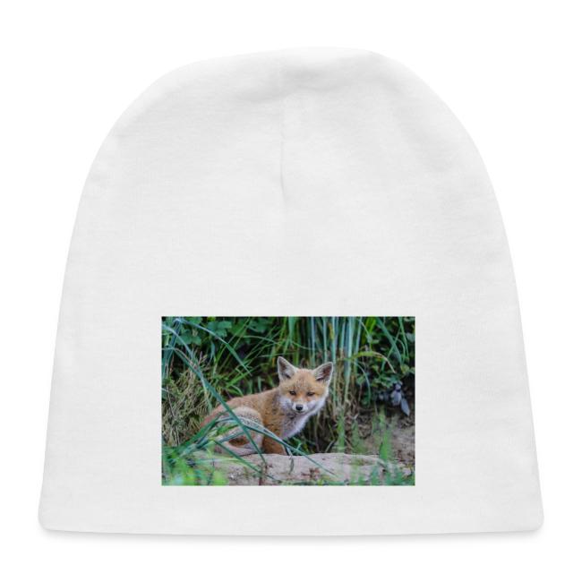 fox