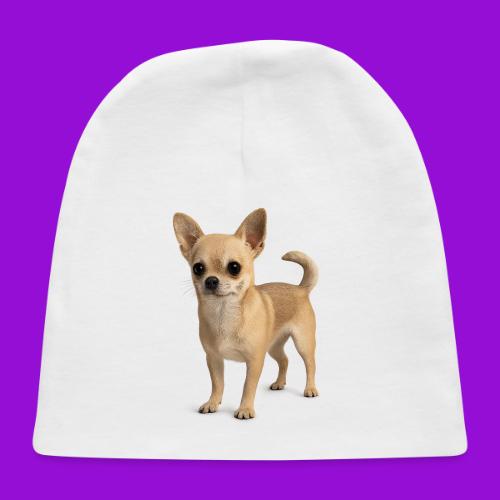 Chihuahua - Baby Cap