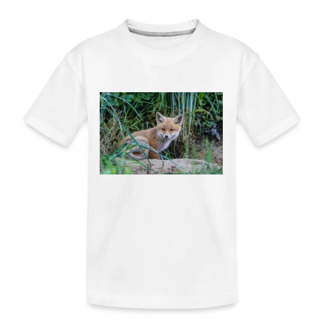 fox