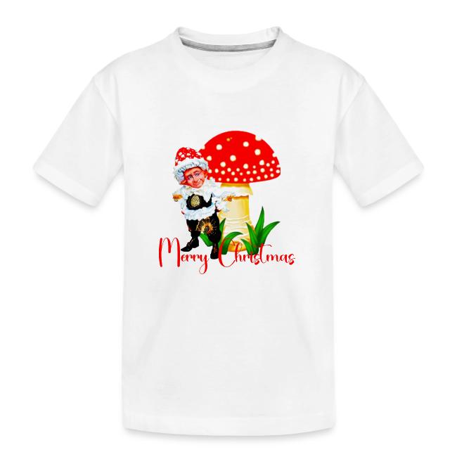Сhristmas funny gnomes