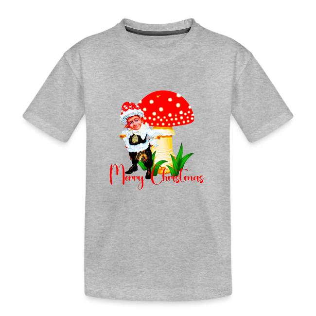 Сhristmas funny gnomes