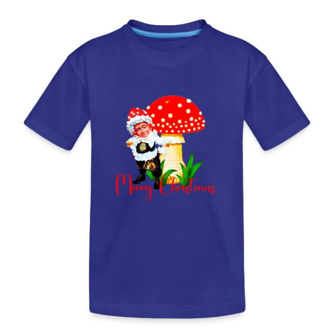 Сhristmas funny gnomes