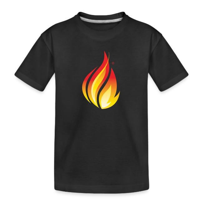 HL7 FHIR Flame Logo