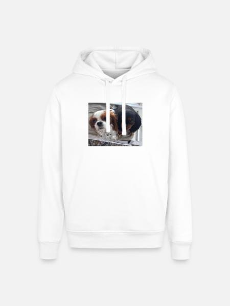 Cavalier Duo on Bench - Stanley/Stella Sounder Side Pocket Hoodie - white