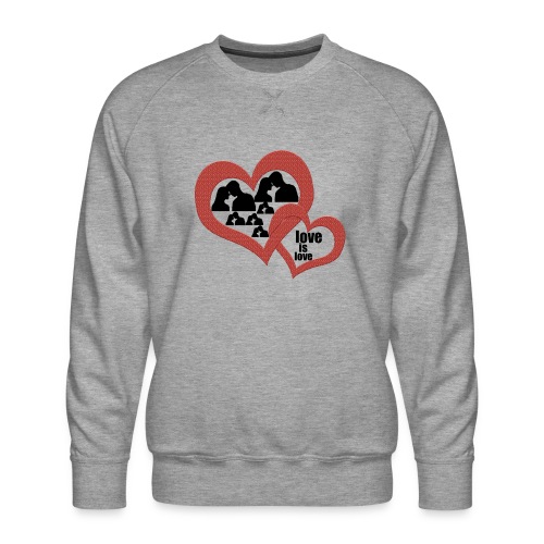 Love is love and girlfriend boyfriend - Men's Premium Sweatshirt