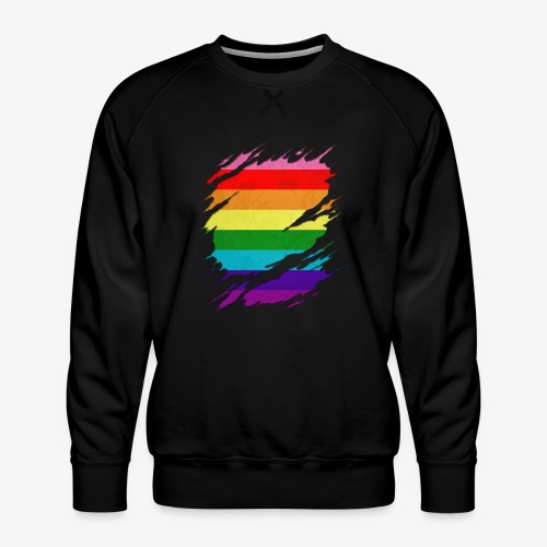 Original Gilbert Baker LGBT Gay Pride Flag Ripped - Men's Premium Sweatshirt