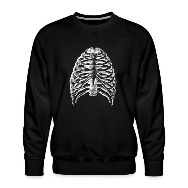 Human Rib Cage