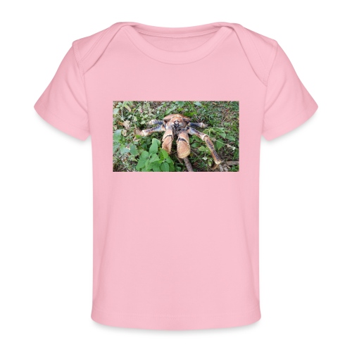 Robber Crab - Baby Organic T-Shirt