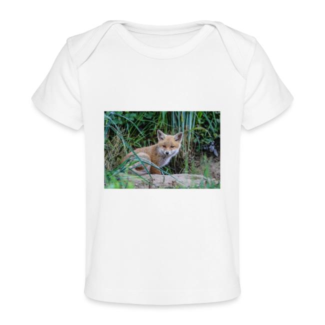 fox