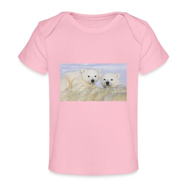 polarbears
