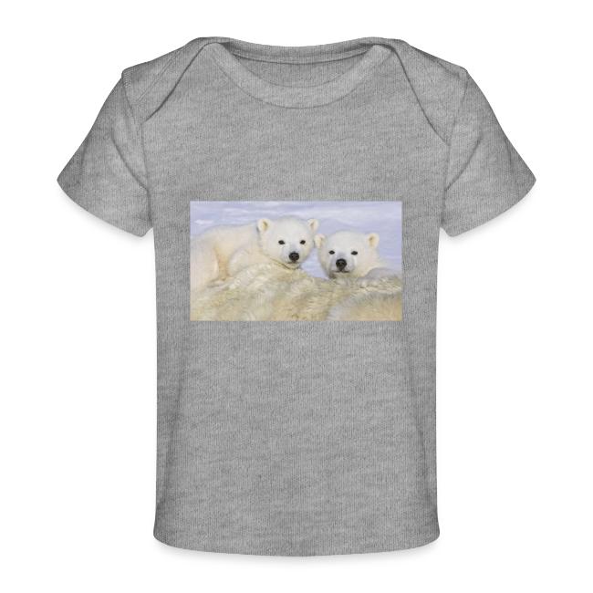 polarbears