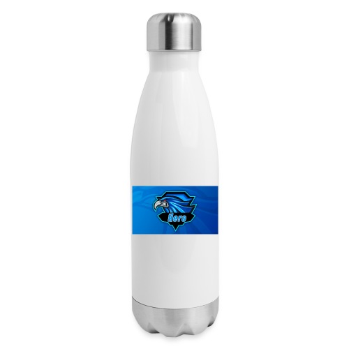 Hero Clan Logo - 17 oz Insulated Stainless Steel Water Bottle