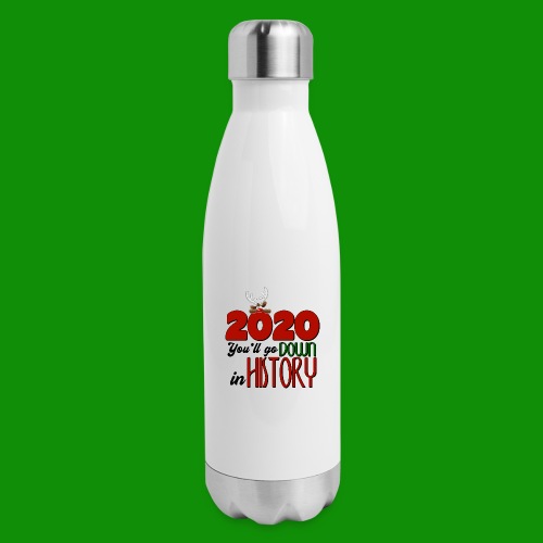 2020 You'll Go Down in History - Insulated Stainless Steel Water Bottle