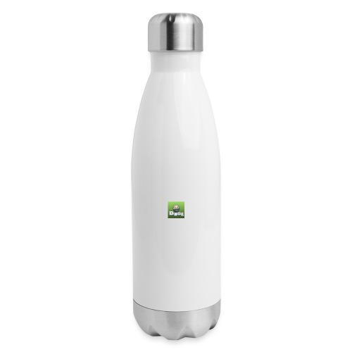 download - 17 oz Insulated Stainless Steel Water Bottle