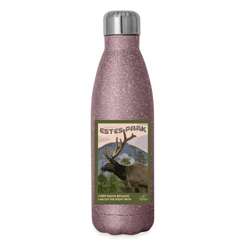 ESTES PARK POSTER - 17 oz Insulated Stainless Steel Water Bottle