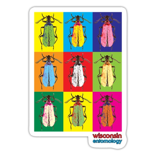 Warhol-style Pyrochroid beetles - Sticker