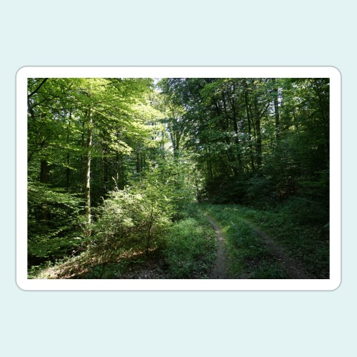Forest Path - Sticker