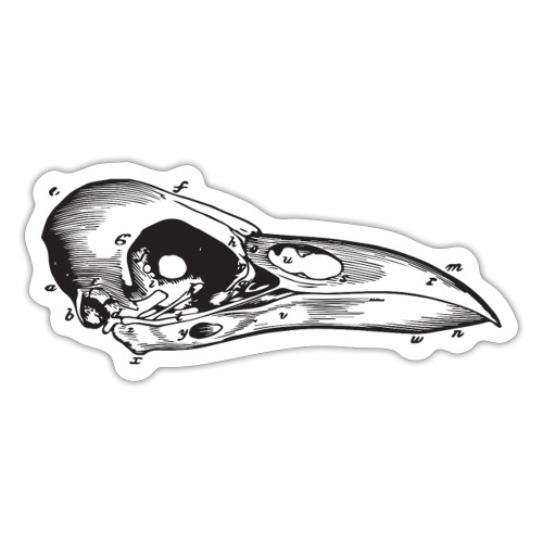 Bird Skull Illustration Vintage Steampunk Style - Sticker