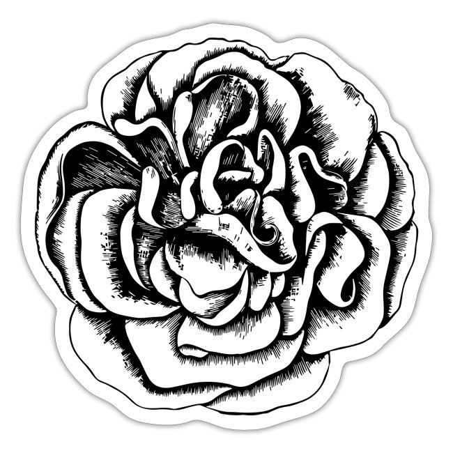 Buttercup Rose