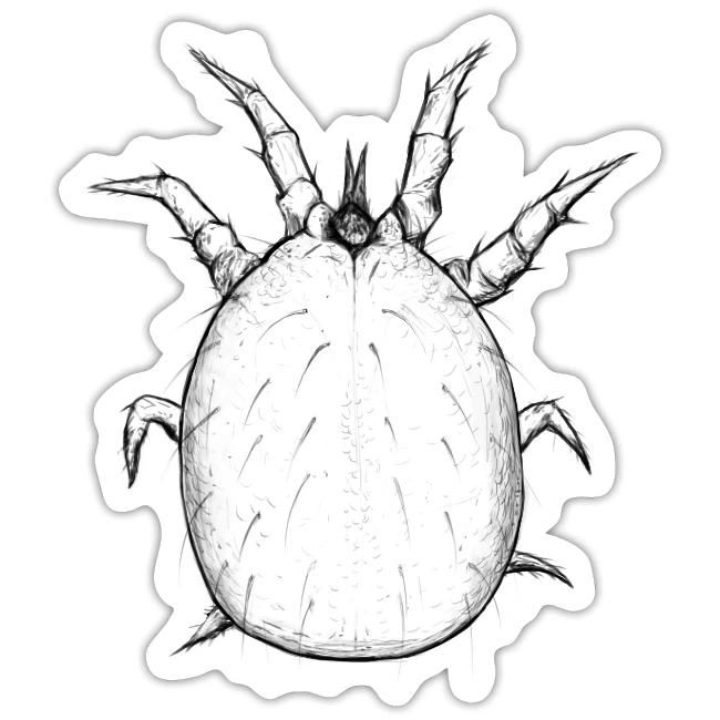 Soil dwelling mite