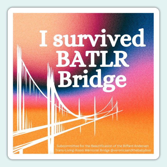 I survived BATLR Bridge