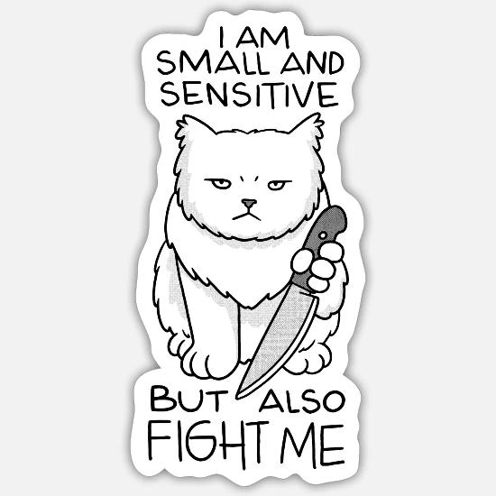 Grumpy Cat Face Sayings Just 15 Photos Of A Cat Who Can't Keep His