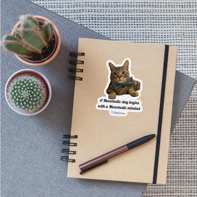 Meowtastic Mindset