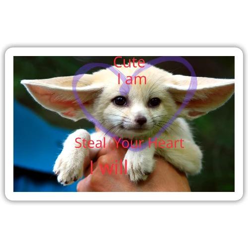 baby fox - Sticker