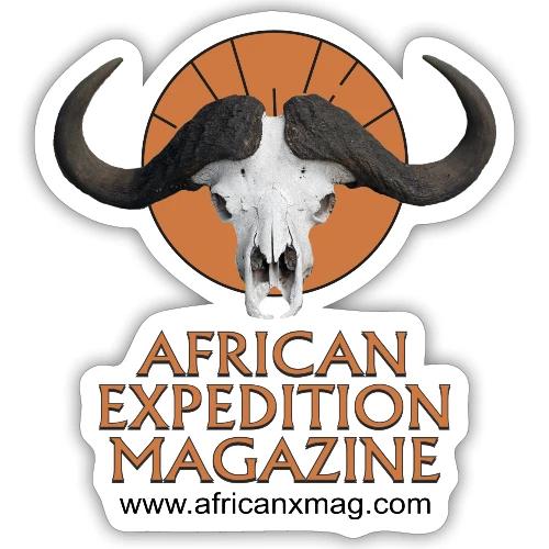 Cape Buffalo skull - Sticker