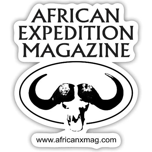 Buffalo skull - Sticker