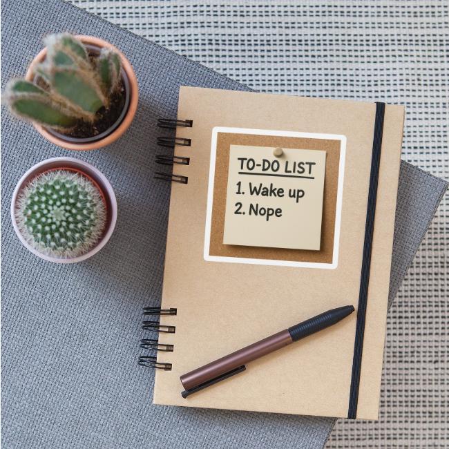 Humorous To Do List