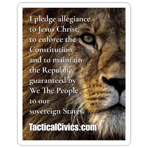 I pledge allegiance - Sticker