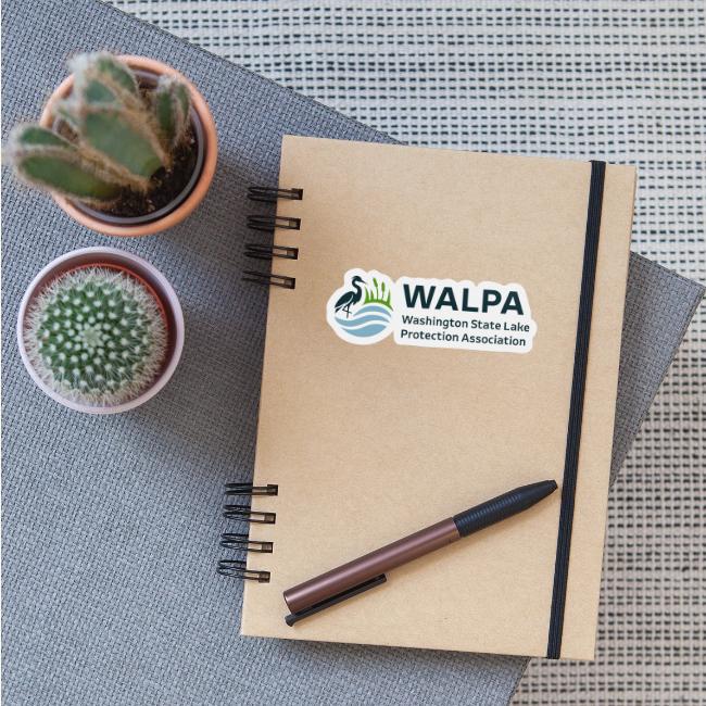WALPA 1 Full Color 1