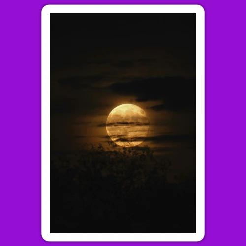 project 20251110 0003329 01 - Sticker