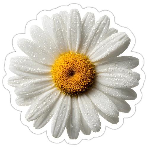 Morning Daisy Freshness - Sticker