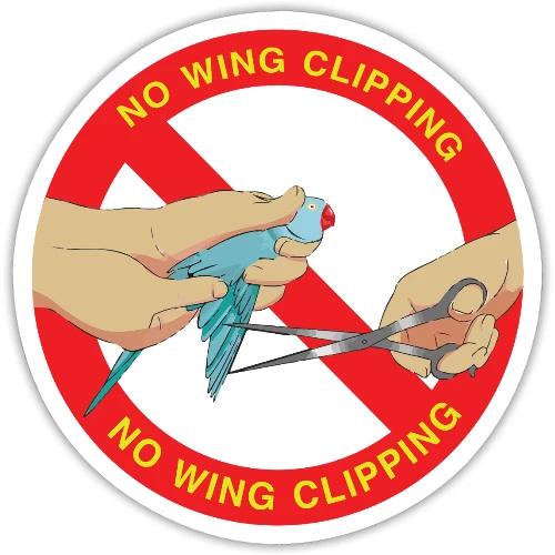 NoWingClipping PNG Logo - Sticker