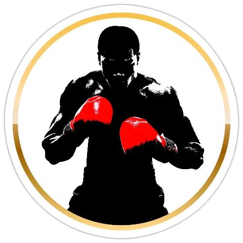 Boxing: Golden Ring Fighter - Sticker