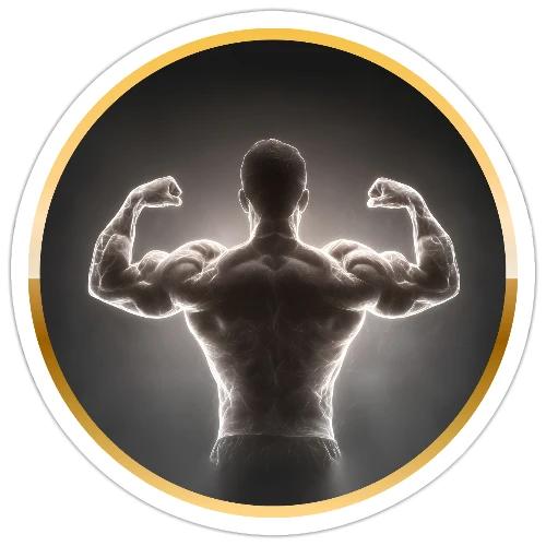 Bodybuilding: Neon Strength Frame - Sticker