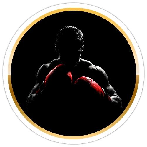 Boxing: Crimson Gloves Fighter - Sticker
