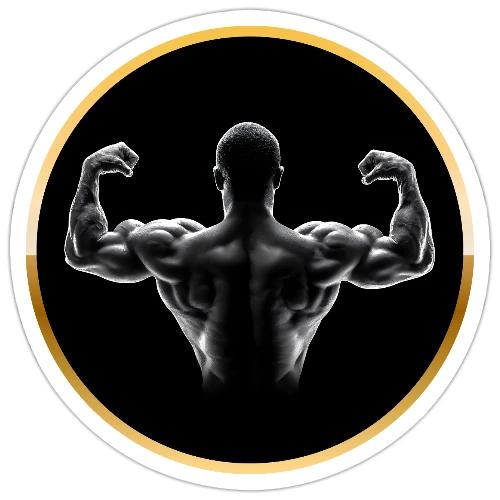 Bodybuilding: Golden Back Power - Sticker