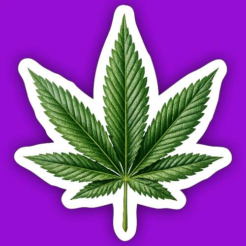 Cannabis Leaf - Sticker