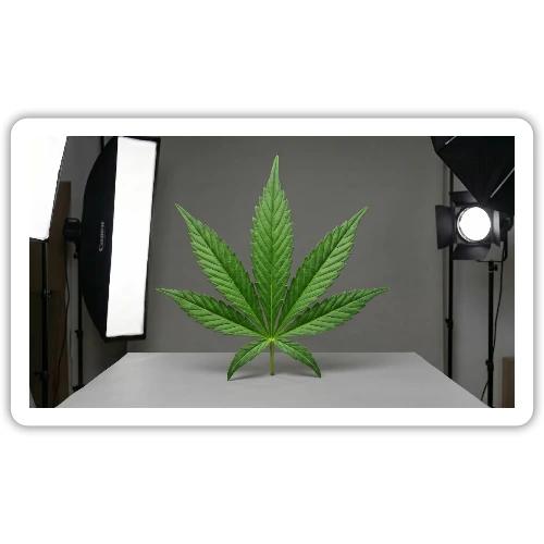 ***CANNABIS LEAF TEE*** - Sticker