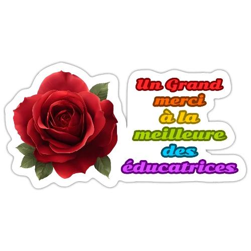 Thank You Educator: Pink and Rainbow Message - Sticker