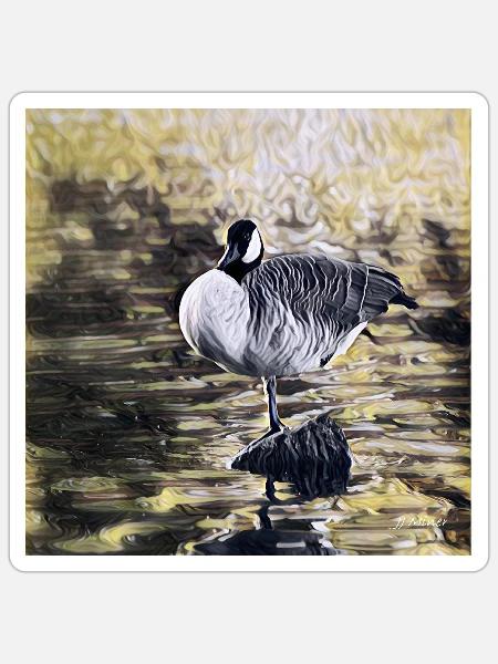 Canadian Goose - Sticker - white matte