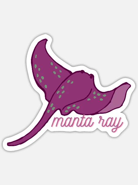 - Sticker - white matte