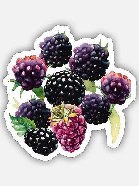  - Sticker - white matte