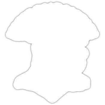 Motor Boat Captain - Sticker - white matte - Front