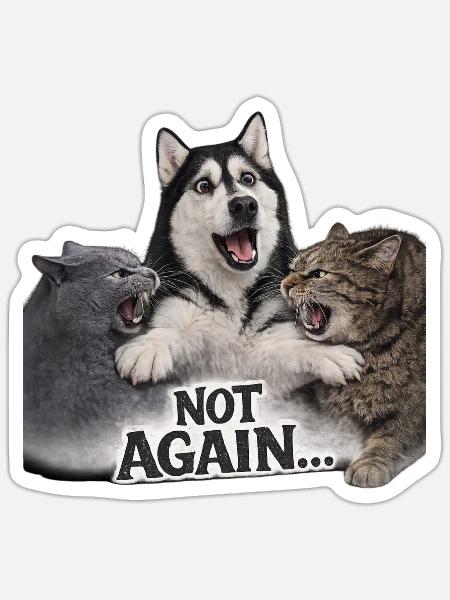 Not Again Pet Trio Laugh Tee - Sticker - white matte