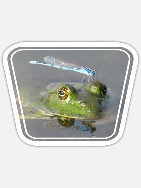 Bullfrog With Damselfly On Its Head - Sticker - white matte